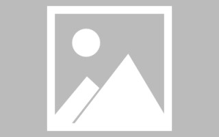 启东网站建设傲（网站建造）